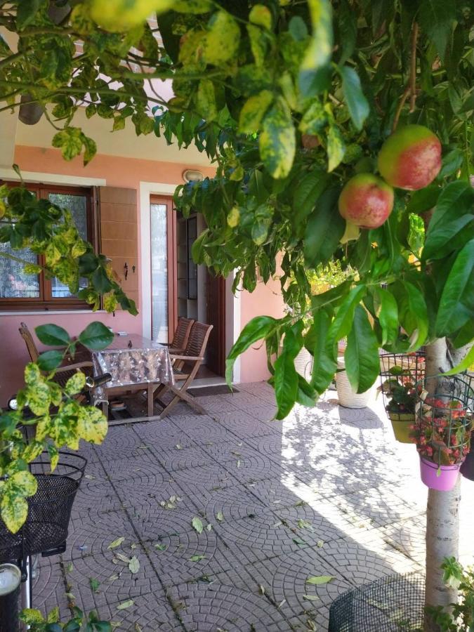 Locazioni Turistiche By Max Hotel Montegrotto Terme Exterior photo